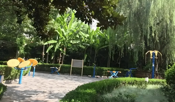 落深圳户口需要什么条件_《你行！你上！》与姜文电影：“登味”的衰落 了一店一起经营家饭