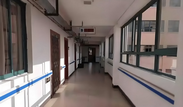 深圳留学生落户学校名单_黄奕女儿不读书想去韩国当练习生，颜值是硬伤 黄奕女儿能够问题实际解决